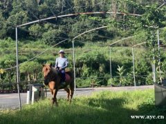 深圳龙岗周边户外农家乐推荐九龙生态园