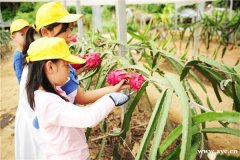 团建怎么做才有效果_优秀的教练是团建活动效果的关键