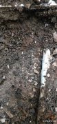 漏水检测服务全广州，自来水管漏水检测，消防管漏水检测