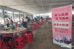 深圳户外拓展、企业团建、亲子游、自助野炊烧烤