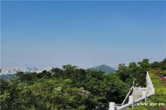 深圳有哪些适合带孩子游玩的地方