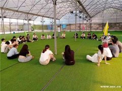 深圳团队游戏、农家乐野炊、公司团建拓展好去处