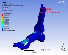 生物力学有限元分析培训一对一教学