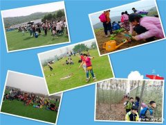 这样的好机会武汉亲子一日游到哪去？社区宝妈举荐个好场地