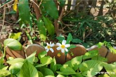 深圳亲子活动、企业团建、户外拓展