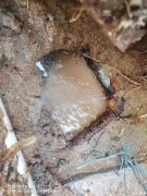 深圳漏水检测哪家强？当选光铭管线探测公司