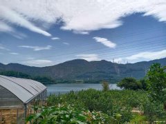 深圳周边搞团建能玩开心的地方田中园生态园团建基地