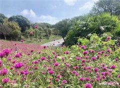 东莞松山湖特色农庄休闲一日游