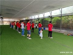 深圳周末去哪里好玩田中园野炊烧烤团建休闲农家乐