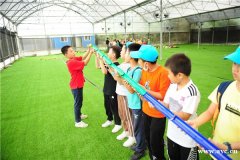 深圳学校班级出游活动推荐凤凰山田中园生态园