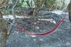 深圳柴火野炊农家乐自己动手做饭的农庄推荐