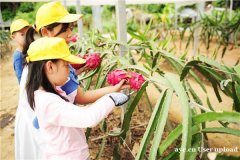 深圳班级出游活动好去处田中园生态园亲子活动基地行程方案推荐