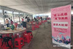 深圳大型企业团队玩趣味运动会项目怎么安排比较好