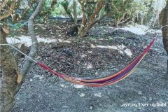 深圳宝安团建基地凤凰山野炊烧烤的地方