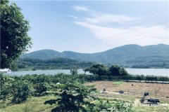 深圳罗湖周边好玩的农家乐