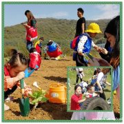 心情荡漾的时刻回想武汉周边亲子游，这个地方收获多多