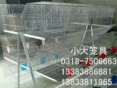 售鸡笼兔子笼鸽子笼鹌鹑笼鹧鸪笼狐狸笼宠物笼运输笼竹鼠笼