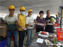 深圳假期户外休闲好地方推荐田中园生态园