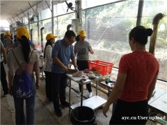 深圳假日休闲户外野炊好地方来田中园生态园