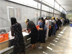 深圳户外休闲一日游野炊+烧烤推荐田中园农家乐