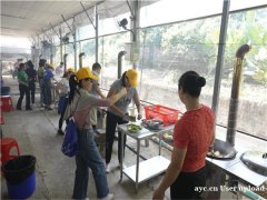 深圳假日休闲户外一日游野炊烧烤好地方来田中园农庄