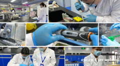 医思倍：提供生物医学科研解决方案