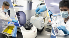 医思倍：提供生物医学科研解决方案