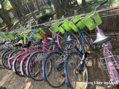 广州越秀区登峰岗街道适合中秋假期游玩的农家乐