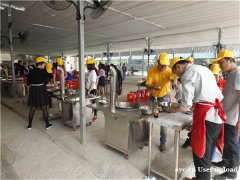 南山周边田中园生态园团建活动野炊一日游