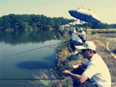 友情告知武汉公司出游美的boss多次好评这三大景区已入榜