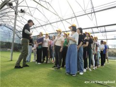 深圳宝安区福永街道大石头路田中园有机农场