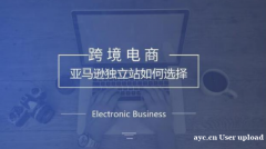 超店shoplus：什么是亚马逊独立站