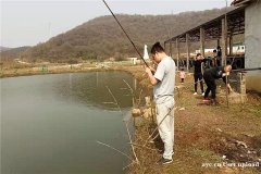 网上评价说武汉员工一日游想要玩的开心看看这放宽心