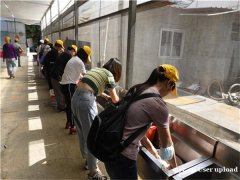 深圳市宝安区福永街道大石头路田中园农家乐