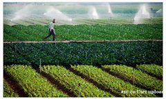 惠州比较适合野炊的农家乐果盛生态园