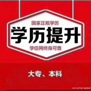 网络远程教育本科学历全程托管外国语大学招生