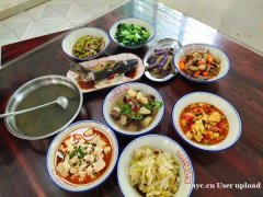 广州越秀区野炊晚会农家乐