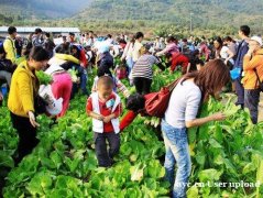 惠州适合亲子农耕的好地方