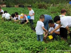 惠州专注户外拓展的农家乐果盛生态园