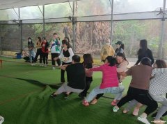 深圳南山公司年会拓展可定制活动的农家乐