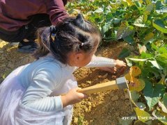 惠州适合公司团建的地方