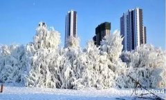 嫩水北疆山河丽 鹤舞雪原引客来