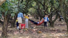 学生出游好去处首推惠州果盛生态园