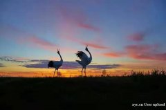 中国冰雪产业研究顶级专家巩其昌教授冰雪产业格局