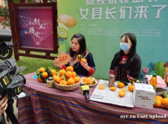 广州直播基地主播带货，零食饮品，美妆护肤，服饰，生活日用等