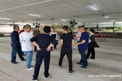 深圳南山农家乐可以野炊做团建活动推荐田中园拓展基地