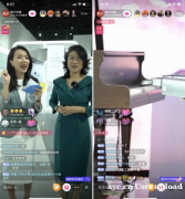 东莞佛山广州直播带货，头部主播种草，ROI保量包销，全类目