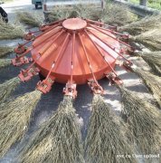 山东智行环卫 千手观音扫地机 千手观音扫路机 可靠耐用