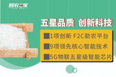 2022火爆创业项目 智能鲜米机 现碾智能售米机 诚招加盟商