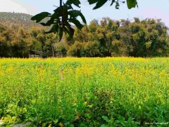 惠城区亲子出游哪里好玩